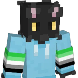Echo2547554 Minecraft avatar bust