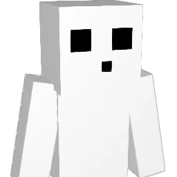 Echo2745 Minecraft avatar bust