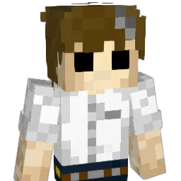 Ecoop_ Minecraft avatar bust
