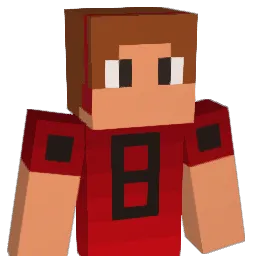 Ecrock20 Minecraft avatar bust