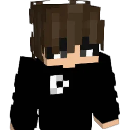 EdT0Dop3 Minecraft avatar bust