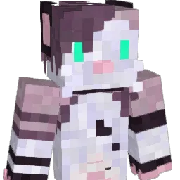 Edivad2101 Minecraft avatar bust