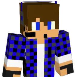 Edo101010 Minecraft avatar bust
