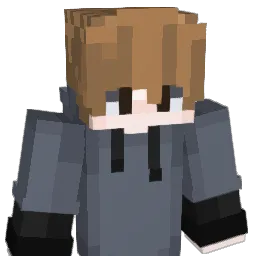 EfeSAY29 Minecraft avatar bust