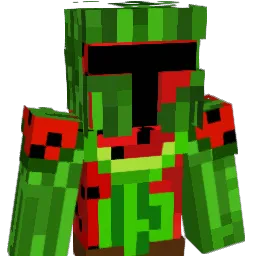 EightFoil208420 Minecraft avatar bust