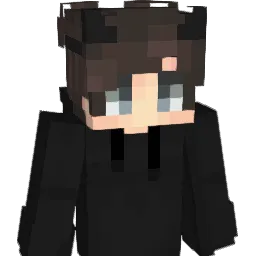 EinBauer Minecraft avatar bust