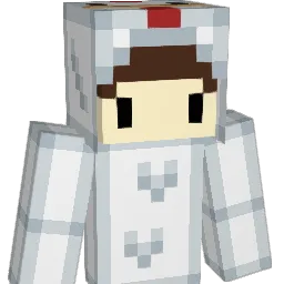 EinChickenWing Minecraft avatar bust