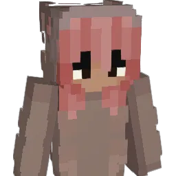 EinaT5510 Minecraft avatar bust