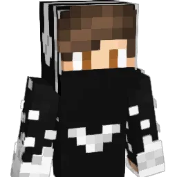 Einbruch Minecraft avatar bust