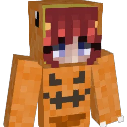 Einsichtiger2 Minecraft avatar bust