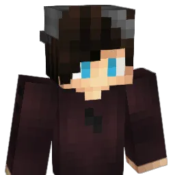 Ejb8842 Minecraft avatar bust