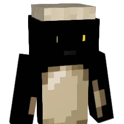 Ekizz