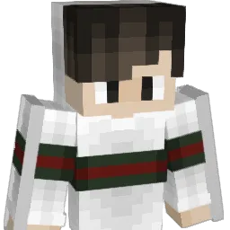 ElGerb's Minecraft skin