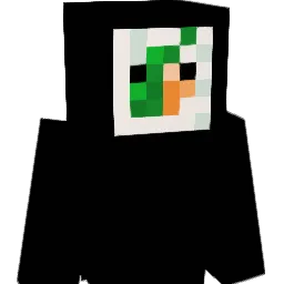 El_sushi_ Minecraft avatar bust