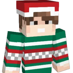 ElaigeIsTOP Minecraft avatar bust