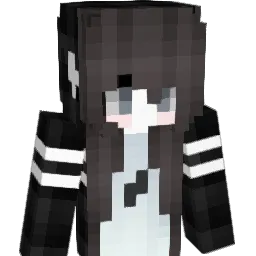 ElectNWhite