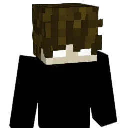 Electron45 Minecraft avatar bust