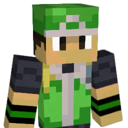 Electronicunit Minecraft avatar bust