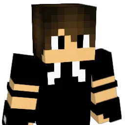 Elektroboy_larss Minecraft avatar bust