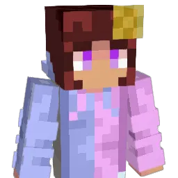 ElevenSocks