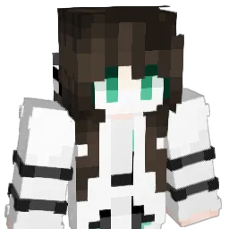 Eleven_wen Minecraft avatar bust