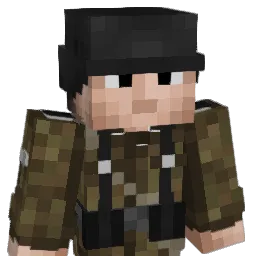 Elfte_Plage Minecraft avatar bust