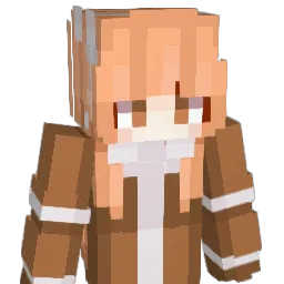 Eli14R Minecraft avatar bust