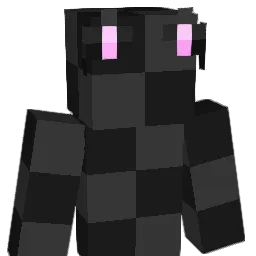 Eli_riggs3068 Minecraft avatar bust