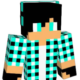 EliasT123 Minecraft avatar bust
