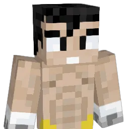 Elias_0607 Minecraft avatar bust
