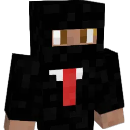 Eliteassassin69 Minecraft avatar bust
