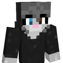 ElleryS0lar Minecraft avatar bust
