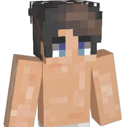 ElliSummers Minecraft avatar bust