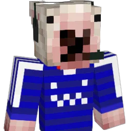 EllipticSkillZ Minecraft avatar bust