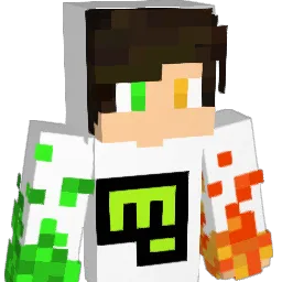 Elycra Minecraft avatar bust