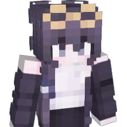 ElytraPocket