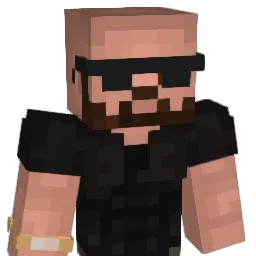 EmilRP8 Minecraft avatar bust