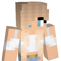 Emily2006 Minecraft avatar bust