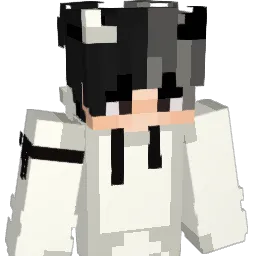 Emirax223 Minecraft avatar bust