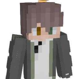 En1MyyZWER Minecraft avatar bust