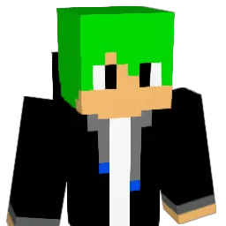 Enak30 Minecraft avatar bust