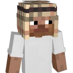 Encrqption Minecraft avatar bust