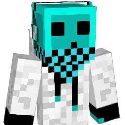 EndKing9901 Minecraft avatar bust