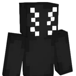 Ender1Dragon