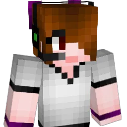Ender250 Minecraft avatar bust