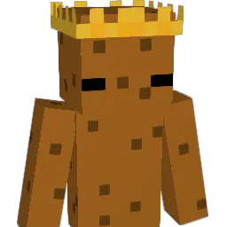 EnderDragon1768 Minecraft avatar bust