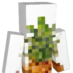 EnderN8J Minecraft avatar bust