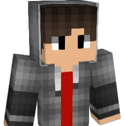 EnderNinja34 Minecraft avatar bust