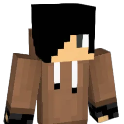 EnderNinjaRS Minecraft avatar bust