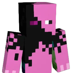 EnderPig1220 Minecraft avatar bust
